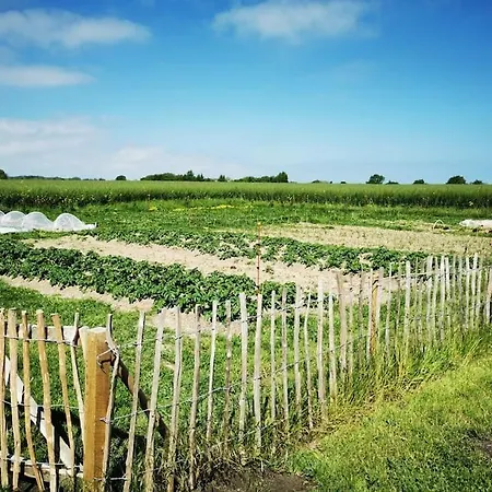 Nyd Roen Og Naturen I Tipitelt Pa Baekkegard Luxuszelt